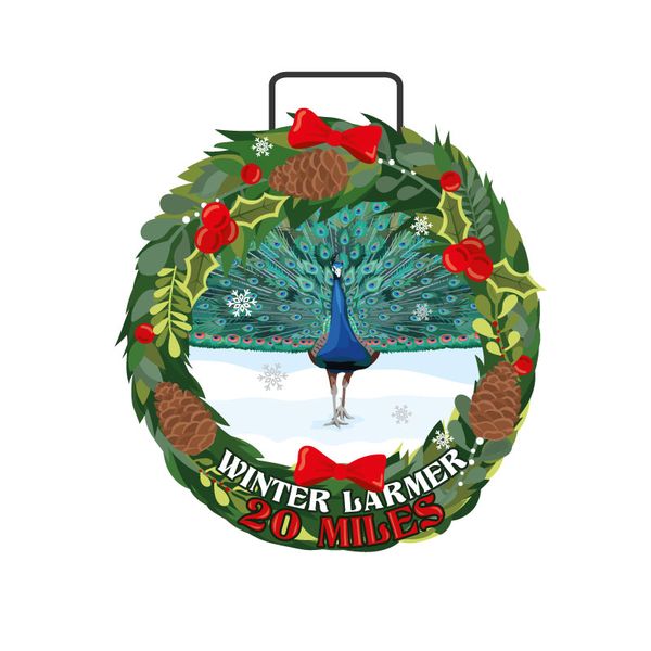 Winter larmer medal mock up