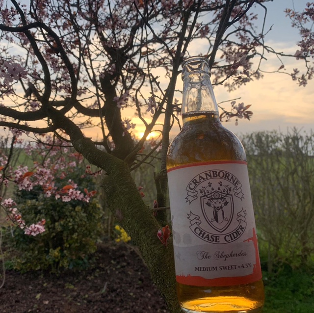 cranborne chase cider